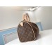 Louis Vuitton Speedy 25 Bag In Monogram Canvas M41109