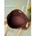 Louis Vuitton Iena PM Bag In Monogram Canvas M42268