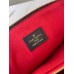 Louis Vuitton Coussin MM Bag In Monogram Lambskin M21204