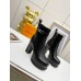 Louis Vuitton Fame Platform Ankle Boots In Black Calfskin