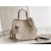 Louis Vuitton Blossom PM Bag In Galet Mahina Leather M21849