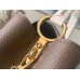 Louis Vuitton Capucines MM Bag with Chain Braided Leather Strap M59516