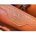 Louis Vuitton Capucines MM Bag in Canvas with Brown Leather M59969