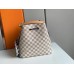 Louis Vuitton Damier Azur NeoNoe MM With Braided Strap N50042