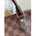 Louis Vuitton Speedy Bandouliere 20 Bag in Damier Ebene Canvas N40489