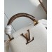 Louis Vuitton Capucines Mini Bag with Ayers Leather Handle M56399