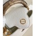 Louis Vuitton Capucines Mini Bag with Ayers Leather Handle M56399