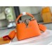 Louis Vuitton Capucines Mini Bag with Python Leather N81210