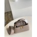 Louis Vuitton Capucines Mini Bag with Python Leather N81258