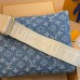Louis Vuitton Coussin PM Bag in Monogram Denim M24564