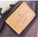 Louis Vuitton Mini Soft Trunk Bag in Monogram Craggy Canvas M25132