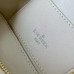 Louis Vuitton Vanity PM Bag in Puffy Lambskin M25219
