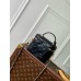Louis Vuitton Vanity PM Bag in Puffy Lambskin M25123