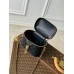 Louis Vuitton Vanity PM Bag in Puffy Lambskin M25123