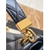 Louis Vuitton GO-14 PM Bag in Malletage Lambskin M12004