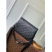 Louis Vuitton Coussin PM Bag in Matte Monogram Lambskin M11370