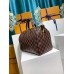 Louis Vuitton Speedy 30 Bag In Damier Ebene Canvas N41364