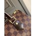Louis Vuitton Speedy 25 Bag In Damier Ebene Canvas N41365