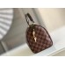 Louis Vuitton Speedy 25 Bag In Damier Ebene Canvas N41365