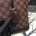 Louis Vuitton Alma PM Bag In Damier Ebene Canvas N53151
