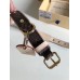 Louis Vuitton Baxter Dog Collar PM In Monogram Canvas M58072