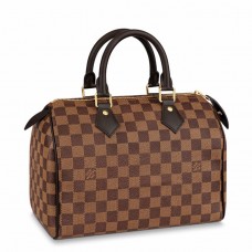 Louis Vuitton Speedy 25 Bag In Damier Ebene Canvas N41365