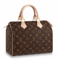 Louis Vuitton Speedy 25 Bag In Monogram Canvas M41109